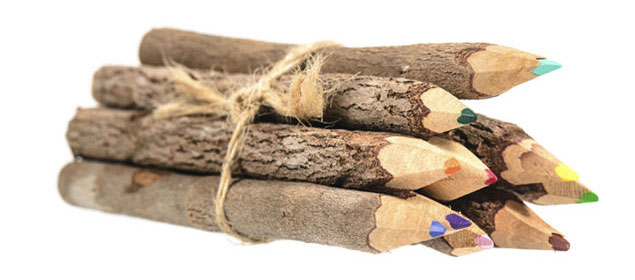 Pencil made of branches